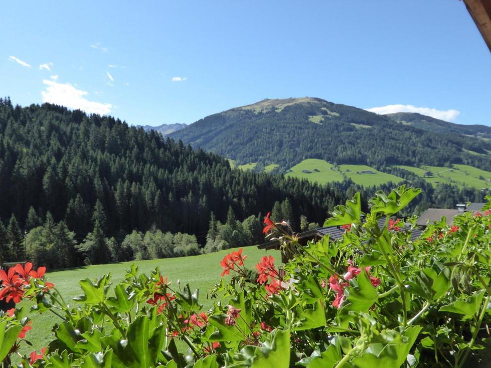Alpbacher Appartementhaus Johannes Zewnętrze zdjęcie